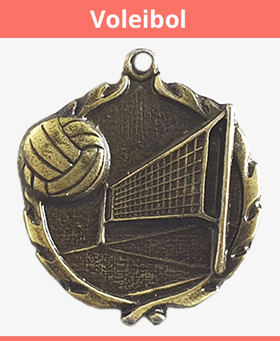 medalla voleibol