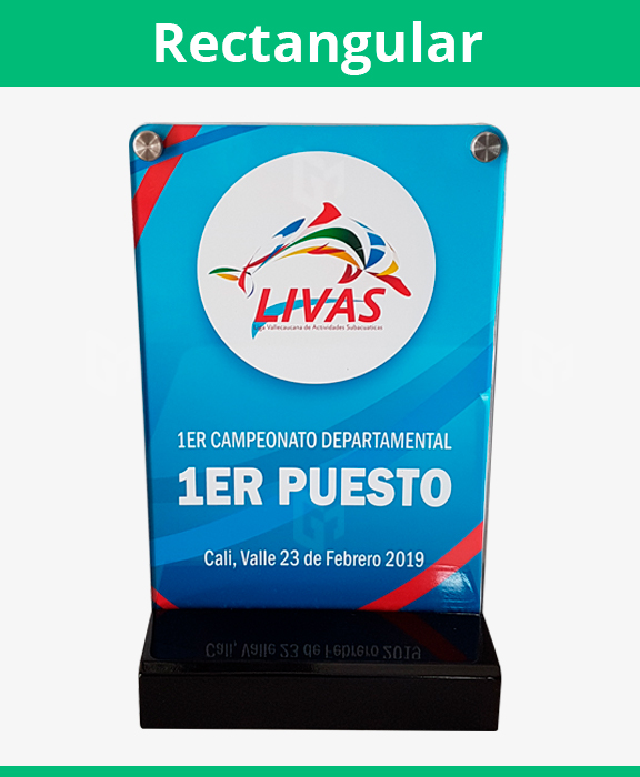 trofeos especiales grabometal cali